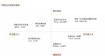 幫你還系統開發app