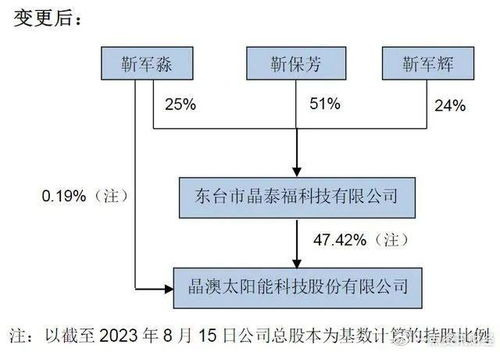 擔綱新設立的商管公司,晶澳 長公主 靳軍輝資本版圖擴容