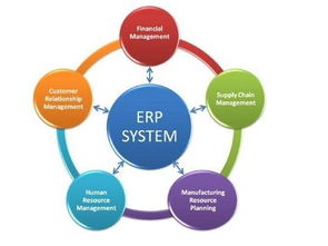 麗水9125管家婆庫存管理