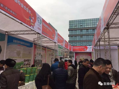 官方都在喊你備年貨了，新年還會遠嗎？——ERP系統開發助力企業年節運轉